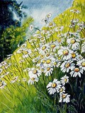 by Anna Trubnikov