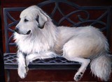 by Anna Trubnikov