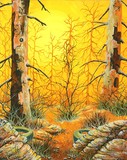 by Robert Walker