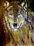 by debbie braswell