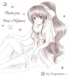 by Tingmeow Lee