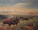 by Walt  Curlee