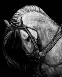 by Heather Ward