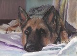 by Robin Gorton