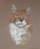 by Joanne Simpson-Connor