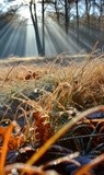 by VELYKIO - gintautas velykis -