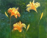 by Ileen Kaplan