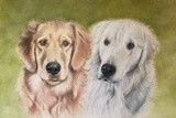 by Sherrie Kostura