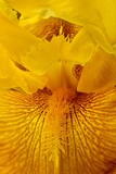 by Greg Summers