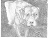 by Keisha Acrey