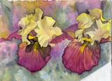 by Gwen Lewis