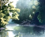 by Marcus Brewer