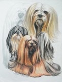by Barbara Keith