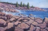 by Scott Niemi