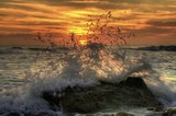 by Danielle Baron
