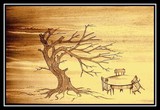 by announi abdelali