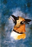 by Brenda Thour