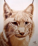 by Juan Carlos Gonzalez