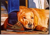 by Donna Richards