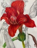 by jennifer kirton