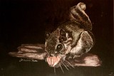 by Jess Kale