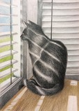 by Sole Afra Martinez