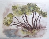 by velma oneill