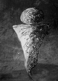 by Jon Rosel