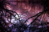 by Brandi Jo Petronio