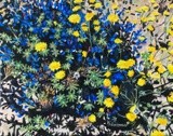 by Kathy Schoeppner