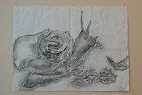by Michaela Anderson
