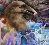 by Sara Deutsch