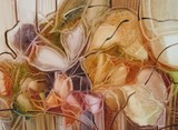 by Fátima Stamato