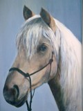 by anne lynch