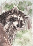 by Drusilla Kehl