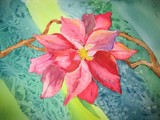 by Fabiene Mader