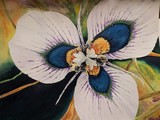 by Fabiene Mader