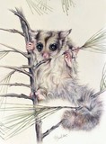 by Geraldine Simmons