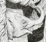 by Rustin Petrae