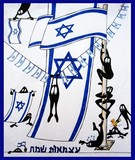 by osnat netzer