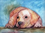 by Carole Clark
