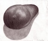 by Dawn Giunta