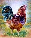 by Marion Dutton