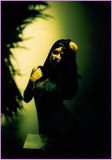 by layla regan