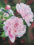by Karen Park