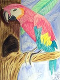 by Louis HUtchins