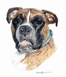 by Diane Kopczeski