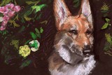 by C.nick Tuigsinn