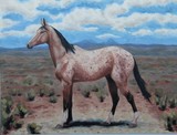 by JAN GREEN