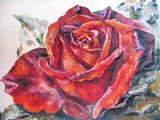 by Ritma Grizane
